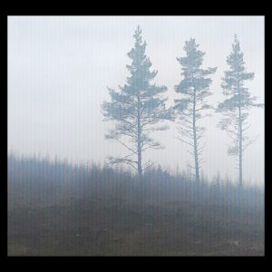 In Winter I Exist / Wolves Sleepsang